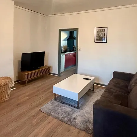 Agreable Maison De Avec Jardin * サン・ディジエ